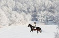 Pretty equestrian girl riding her black horse through snow outdoors Royalty Free Stock Photo