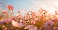 blooming beautiful pink sunset nature flora meadow flower field violet background. Generative AI. Royalty Free Stock Photo