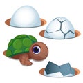 Pretty blue-eyed little turtle and cracked egg shell isolated on white background. Vector cartoon close-up illustration. Royalty Free Stock Photo