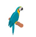 Pretty Blue Parrot Ara on Branch. Bird on White Background