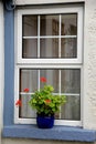 Pretty blue pot with flowers on quaint stone windowsill