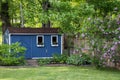 Pretty blue she shed in the backyard garden with Lilacs in full bloom Royalty Free Stock Photo