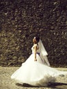 Pretty bride in white dress Royalty Free Stock Photo