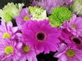Pretty Bright & Attractive Purple Gerbera Daisy Flower Bouquet