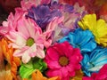 Pretty Bright Closeup Colourful Pink, Yellow, Blue, Red Green Dairy Flowers Bouquet Royalty Free Stock Photo