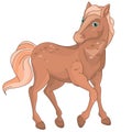 Pretty Brown Cute Horse Pony Royalty Free Stock Photo