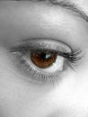 Pretty Brown Eye Royalty Free Stock Photo