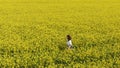 Pretty brunette walks along endless yellow flower field Royalty Free Stock Photo