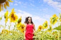 Pretty brunette woman in sunflower field Royalty Free Stock Photo