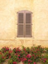 Close-up on a closed light brown shutter, faded beige yellow wall and alley of small red rosebushes in bloom, aga