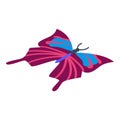 Pretty butterfly icon, isometric style