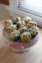 Adorable cake dish with pink ribbon set on table with one dozen fresh-baked blueberry muffins Royalty Free Stock Photo