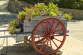 Flowered cart by the roadside Royalty Free Stock Photo