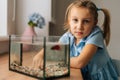 Pretty Caucasian little girl watching little goldfish in aquarium, tapping on glass, attracting attention. Royalty Free Stock Photo