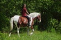 Beautiful cowgirl bareback ride her horse in woods glade. Equine, people
