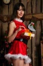 Pretty Christmas girl Royalty Free Stock Photo