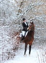 Pretty country girl riding her horse through snow at winter morning Royalty Free Stock Photo