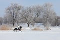 Pretty country girl riding her horse through snow at winter morning Royalty Free Stock Photo