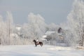 Pretty country girl riding her horse through snow at winter morning Royalty Free Stock Photo