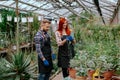 Pretty couple have a family business with decorative plants they working together in a flower greenhouse analyzing the