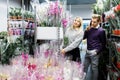 Pretty couple picks orchids in the store. Choice of flowers in a flower shop Royalty Free Stock Photo