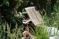 A pretty cozy corner in a dreamy garden with a comfortable wooden lounger