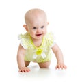 Pretty crawling baby girl Royalty Free Stock Photo