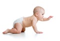 Pretty crawling baby girl Royalty Free Stock Photo