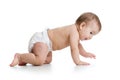 Pretty crawling baby isolated Royalty Free Stock Photo
