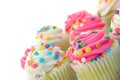 Pretty Cup Cakes Royalty Free Stock Photo