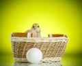 Pretty cute chick in a basket with eggs Royalty Free Stock Photo