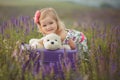 Pretty cute little girl is wearing white dress in a lavender field holding a basket full of purple flowers Royalty Free Stock Photo