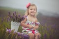 Pretty cute little girl is wearing white dress in a lavender field holding a basket full of purple flowers Royalty Free Stock Photo