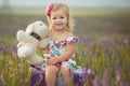 Pretty cute little girl is wearing white dress in a lavender field holding a basket full of purple flowers Royalty Free Stock Photo