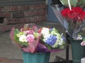 Pretty cute pots of various freshcut flowers on display, 2018