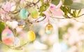 Pretty decorated Easter eggs hanging on a tree branch on a sunny