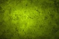 Vintage lime shining hued panel texture - fantastic abstract photo background