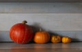 Pretty family of pumpkins