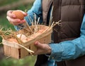 Pretty farmer holding a fresh brown hen egg and other eggs in a Royalty Free Stock Photo