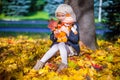 Pretty Fashion girl sitting under a maple tree Royalty Free Stock Photo