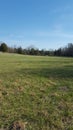 Pretty field on a spring sunny day