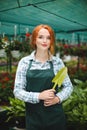 Pretty florist in apron standing with little garden shovel in hand. Young lady dreamily looking in camera while working with flowe Royalty Free Stock Photo