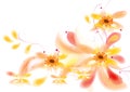 Pretty flowers design: Royalty Free Stock Photo