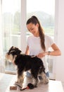Girl combing dog at home Royalty Free Stock Photo