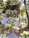 A pretty girl between the flowering branches of a tree. A teenage girl admires the pear flowers and inhales the fragrance in the Royalty Free Stock Photo