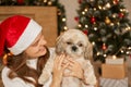 Pretty girl holding puppy in hands and looking on it with toothy smile, posing in cozy room with christmas tree and gift boxes, Royalty Free Stock Photo