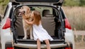 Preteen girl with golden retriever dog in car trunk Royalty Free Stock Photo