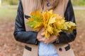 Pretty girl in jeans and coat with bright colored leaves walking in autumn park Royalty Free Stock Photo