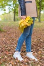 Pretty girl in jeans and coat with bright colored leaves walking in autumn park Royalty Free Stock Photo