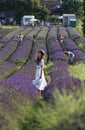 Pretty girl in a lavender field